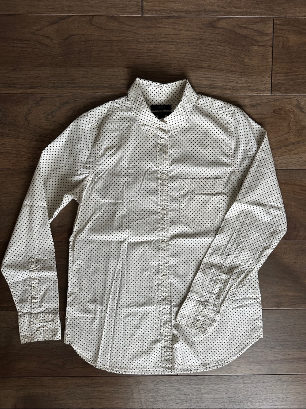 J.Crew Polka Dot Shirt, Button down